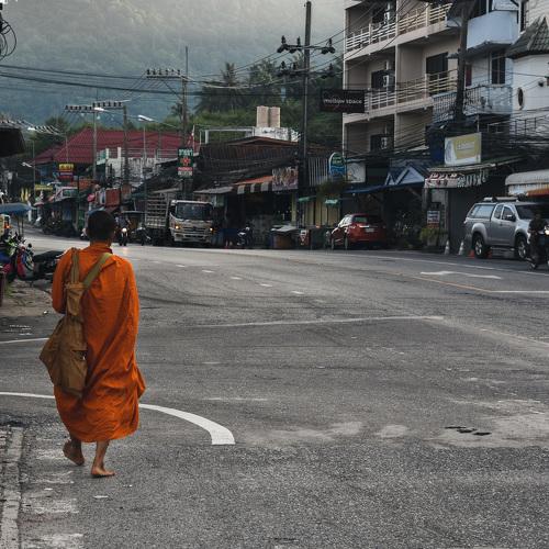 Photo #4543524