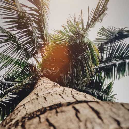 Photo #4544292