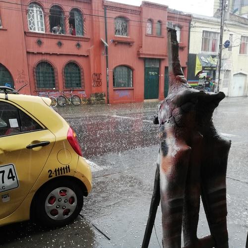 Photo #4544510