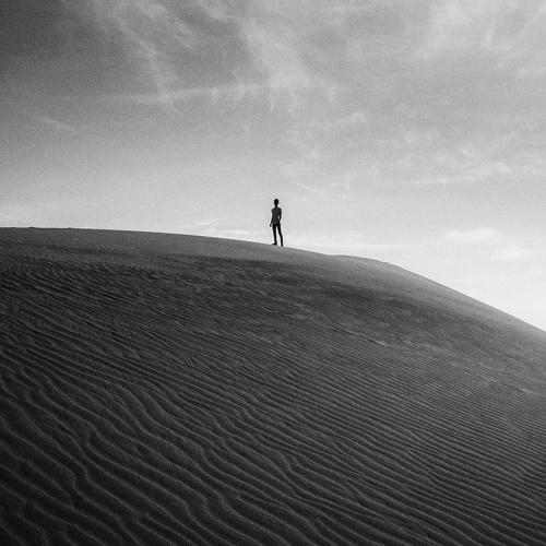 Photo #4544657