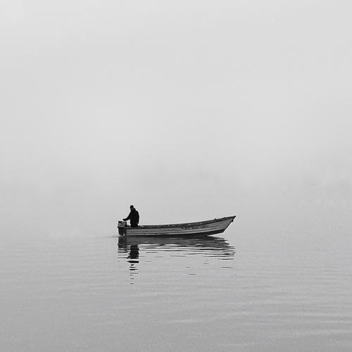 Photo #4544774