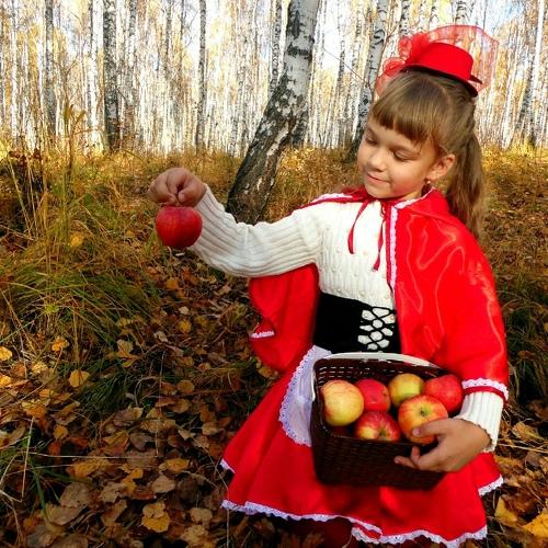 Photo #4544778