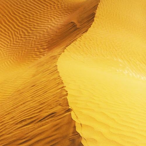 Photo #4544950