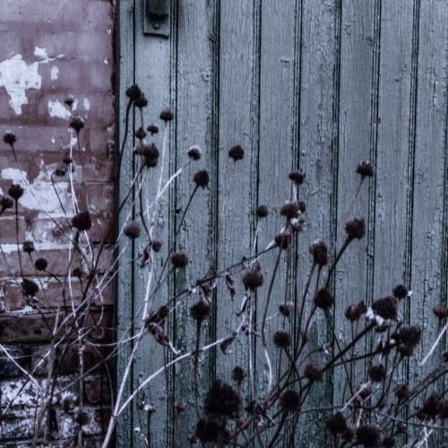 Photo #4545222