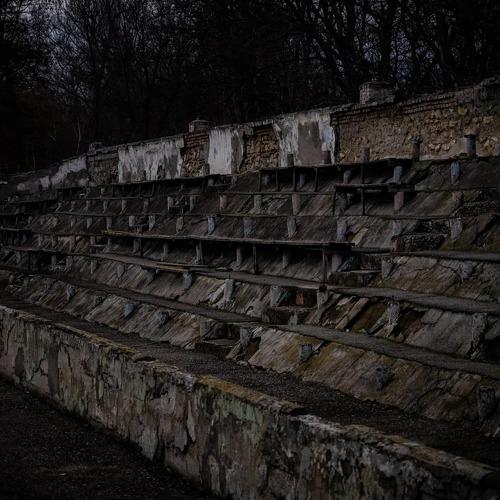 Photo #4545433