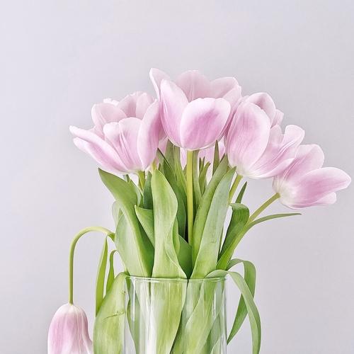 Photo #4545517