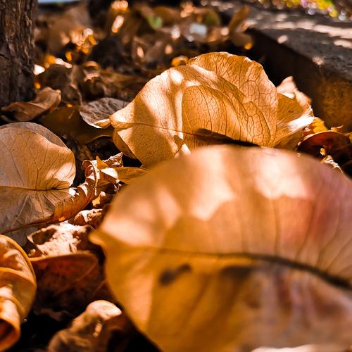 Photo #4545637