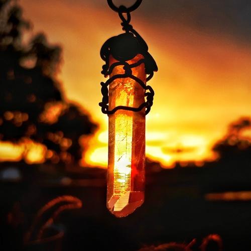 Photo #4545677