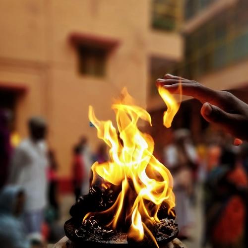 Photo #4545930