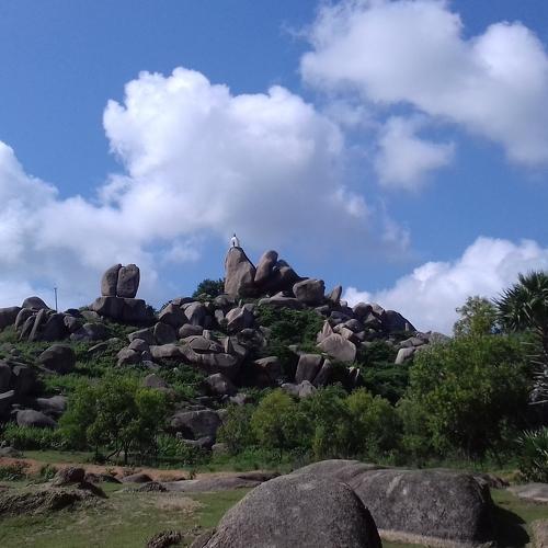 Photo #4545945