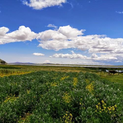 Maravillosa naturaleza