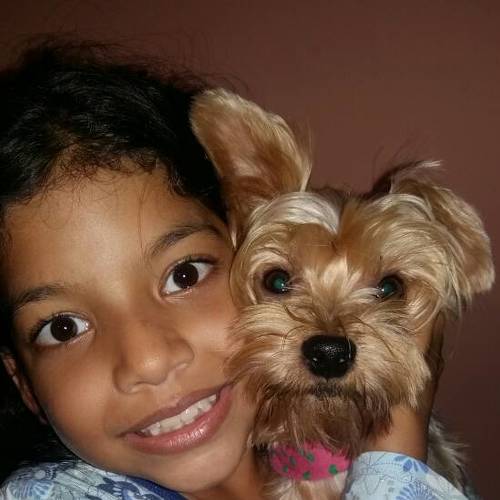 Photo #4547113
