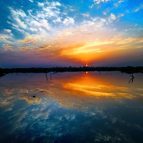 Photo #4547766