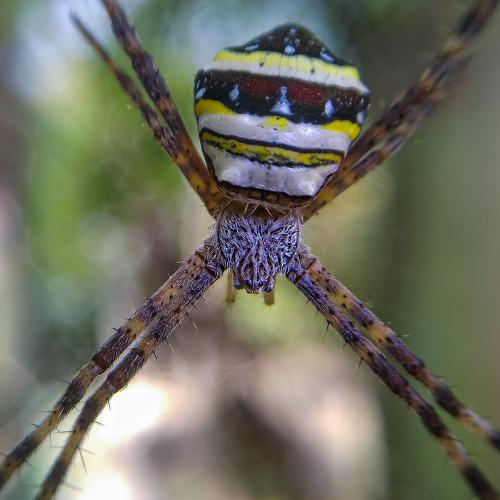 Photo #4547771