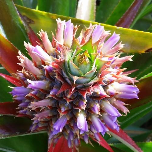 Photo #4548091