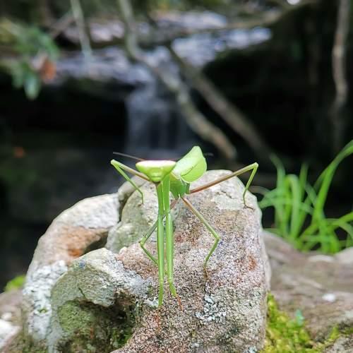 Photo #4548134