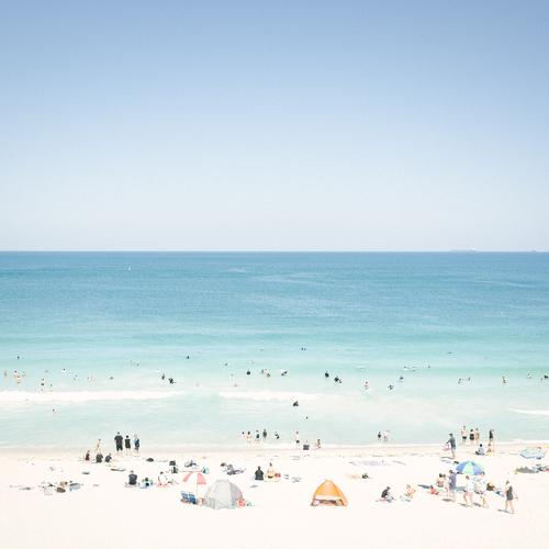 Photo #4548281