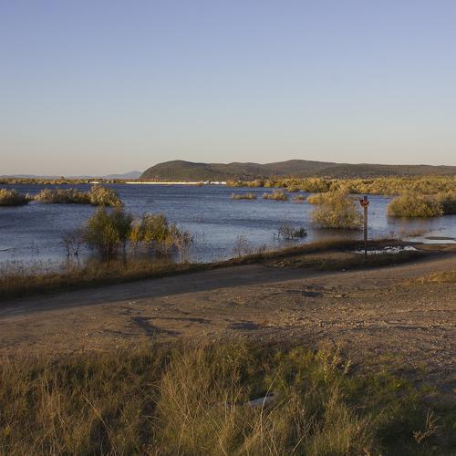 Photo #4548301