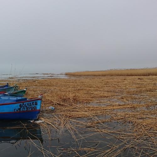 Photo #4548304