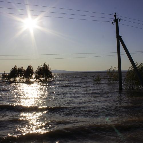 Photo #4548312