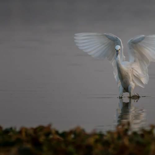 Photo #4548643
