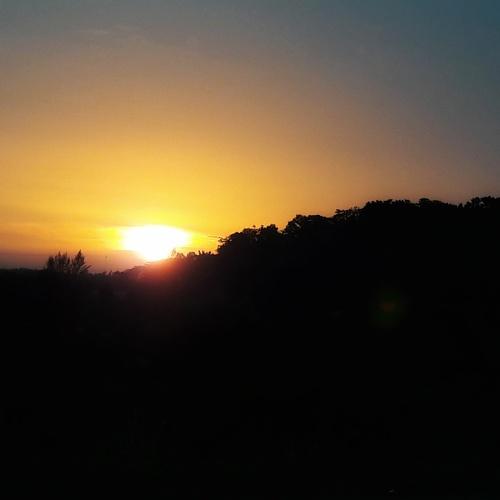 Pretty sunset