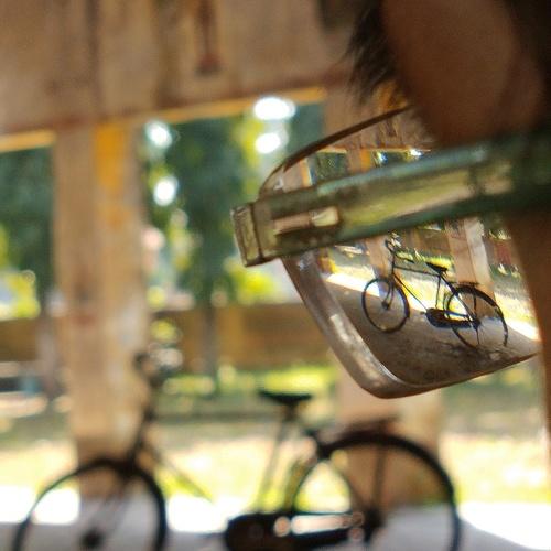 Photo #4549358