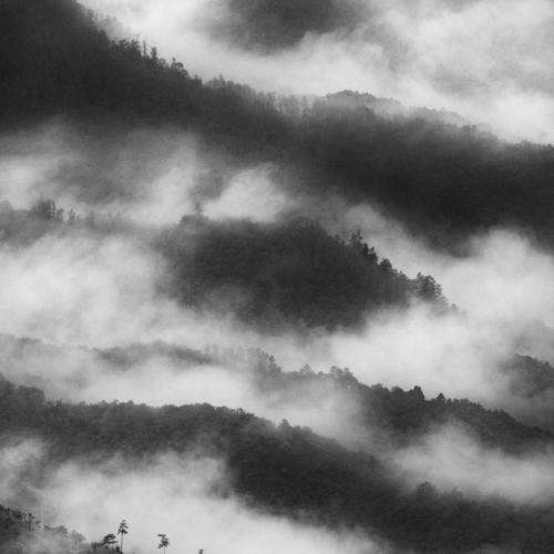 The hills