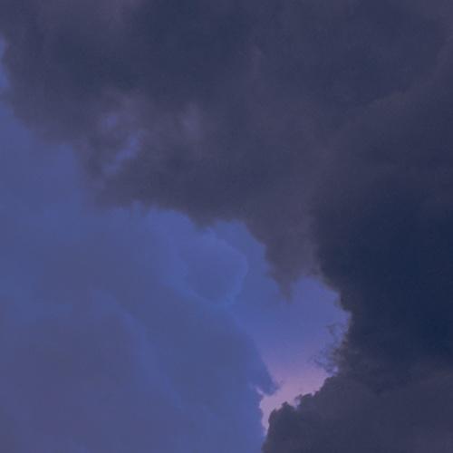 Photo #4549541