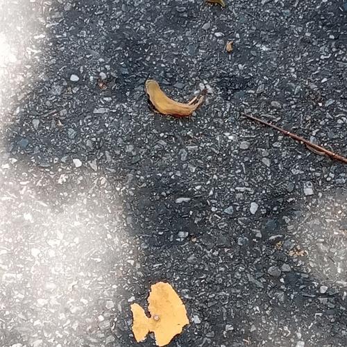 Photo #4549547