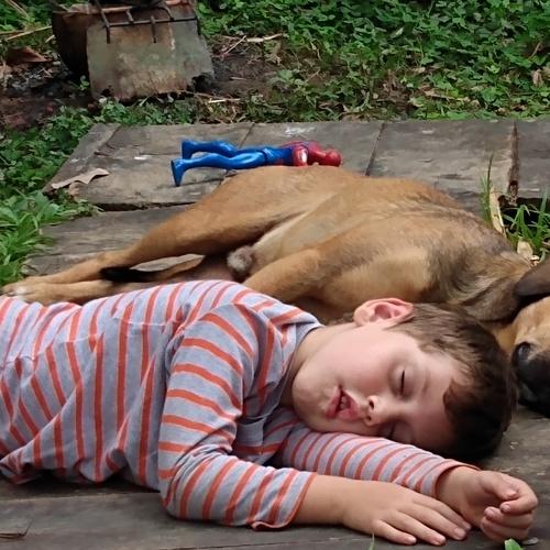 Photo #4549738