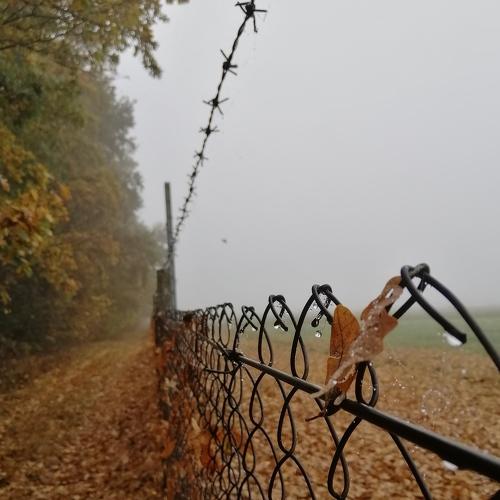 Photo #4550052