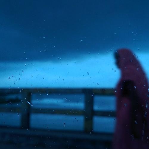 Photo #4550146