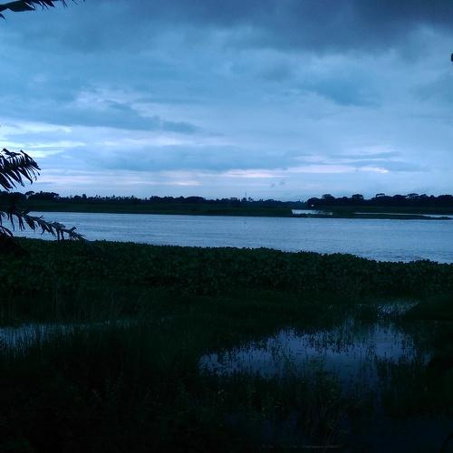 Photo #4550147