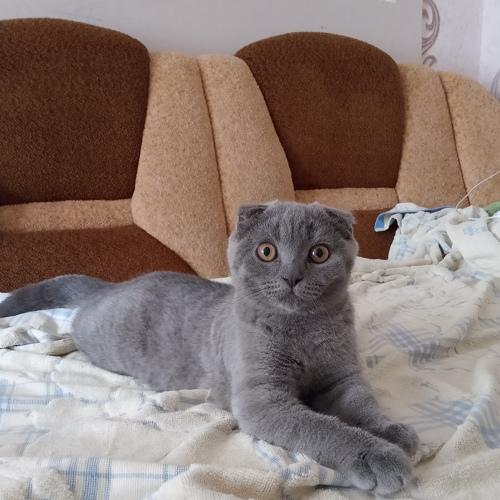 Photo #4550284