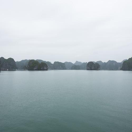 Photo #4550632