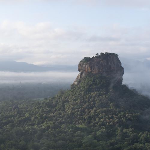 Photo #4550664