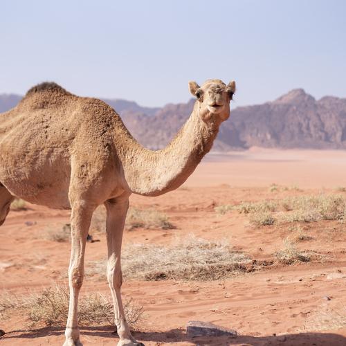 Photo #4550714