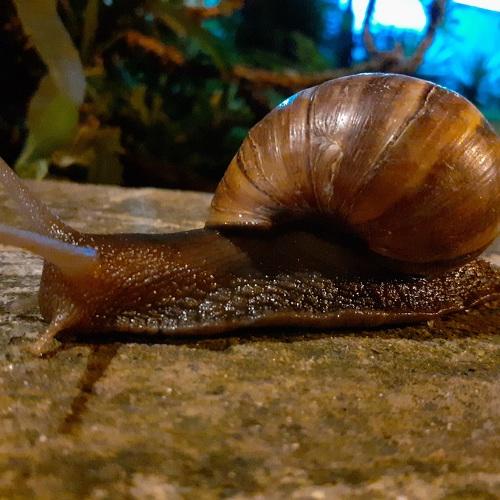 Photo #4550778