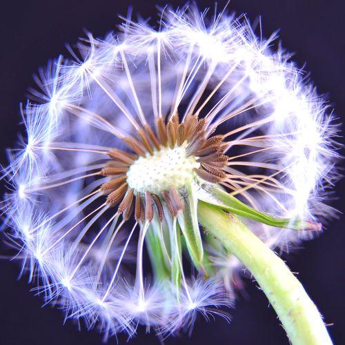 Photo #4550835