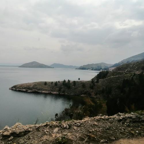 Photo #4551026