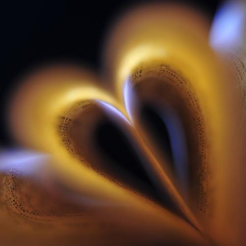 Photo #4551136