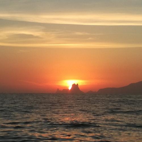 Photo #4551166