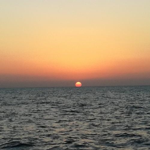 Photo #4551176