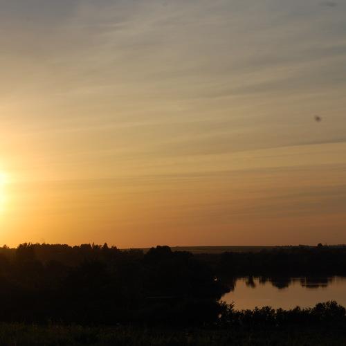 Photo #4551320