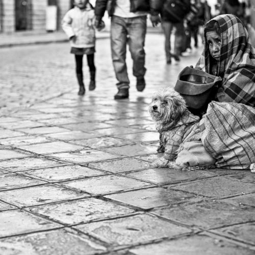 Photo #4551331