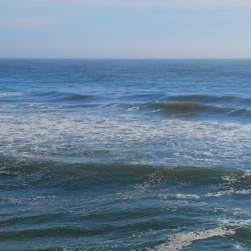 The sea has undone me