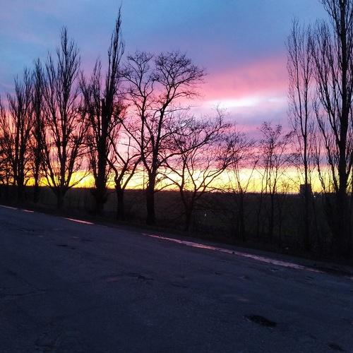 Photo #4551812