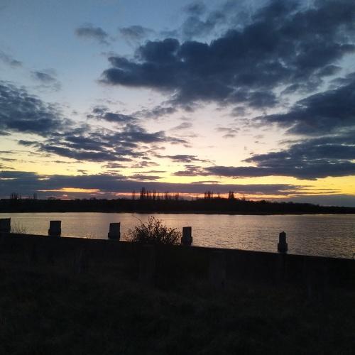 Photo #4551815