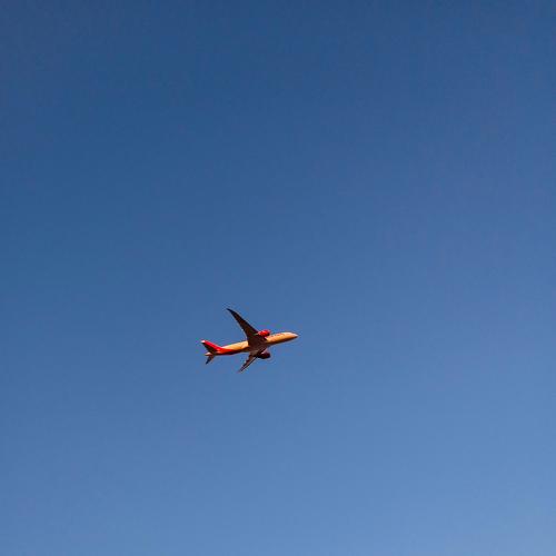 Photo #4552451